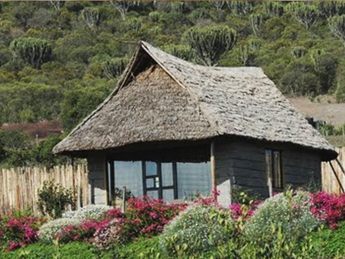 Rhino Watch Safarilodge Mweiga Phòng bức ảnh