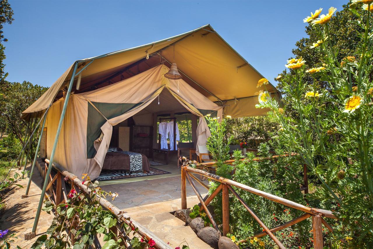 Rhino Watch Safarilodge Mweiga Ngoại thất bức ảnh